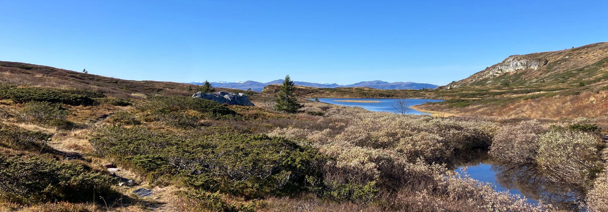Kveldstur på Peer Gynt vegen på St. hans aften.