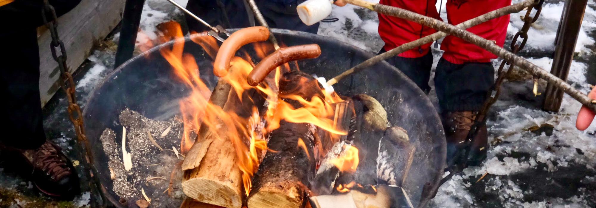 Skitur til Olalia med DNT ung  (13 - 25 år)