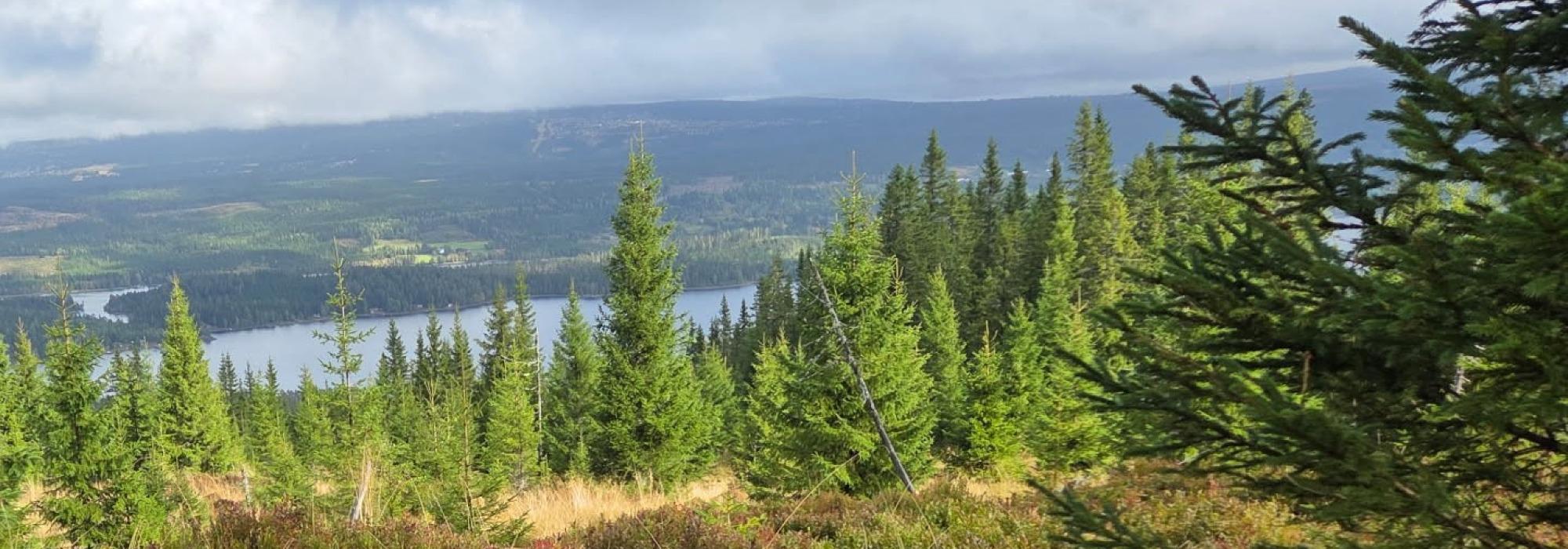 Kveldstur til Sollihøgda