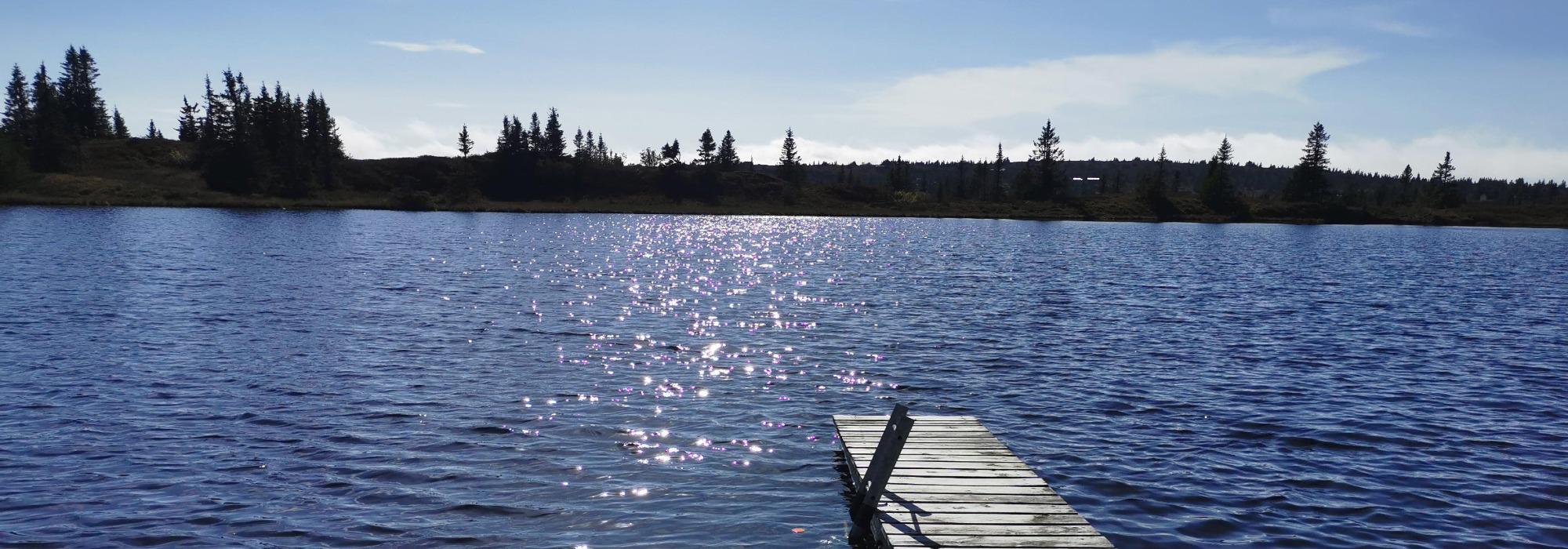 Kveldstur på umerkede stier på Indre Reina.