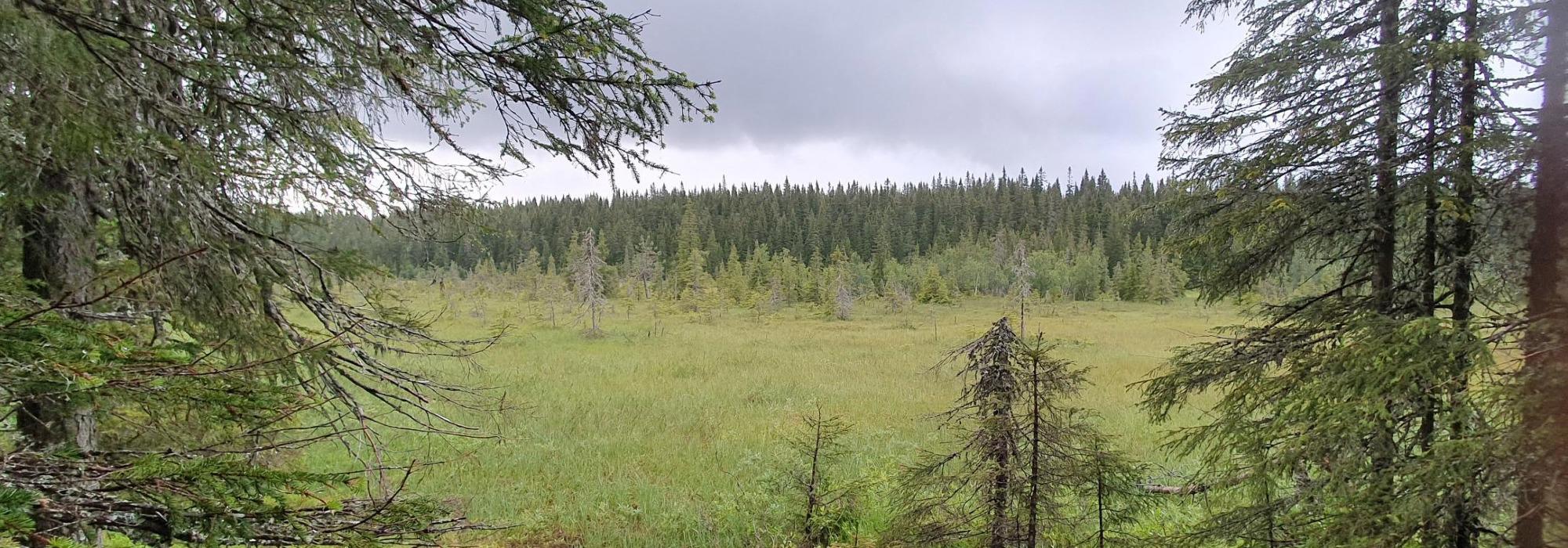 Kveldstur på Fåberg