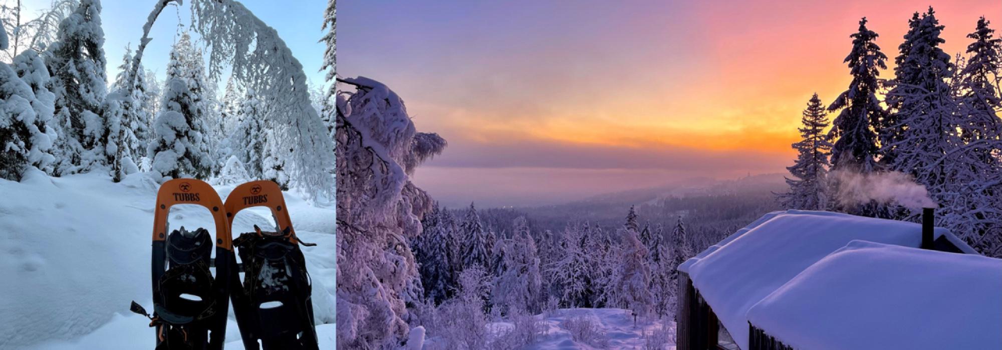 Trugetur i vinterlandskapet til Fuglemyrhytta (Vandregruppa DNT 26–45 Oslo)