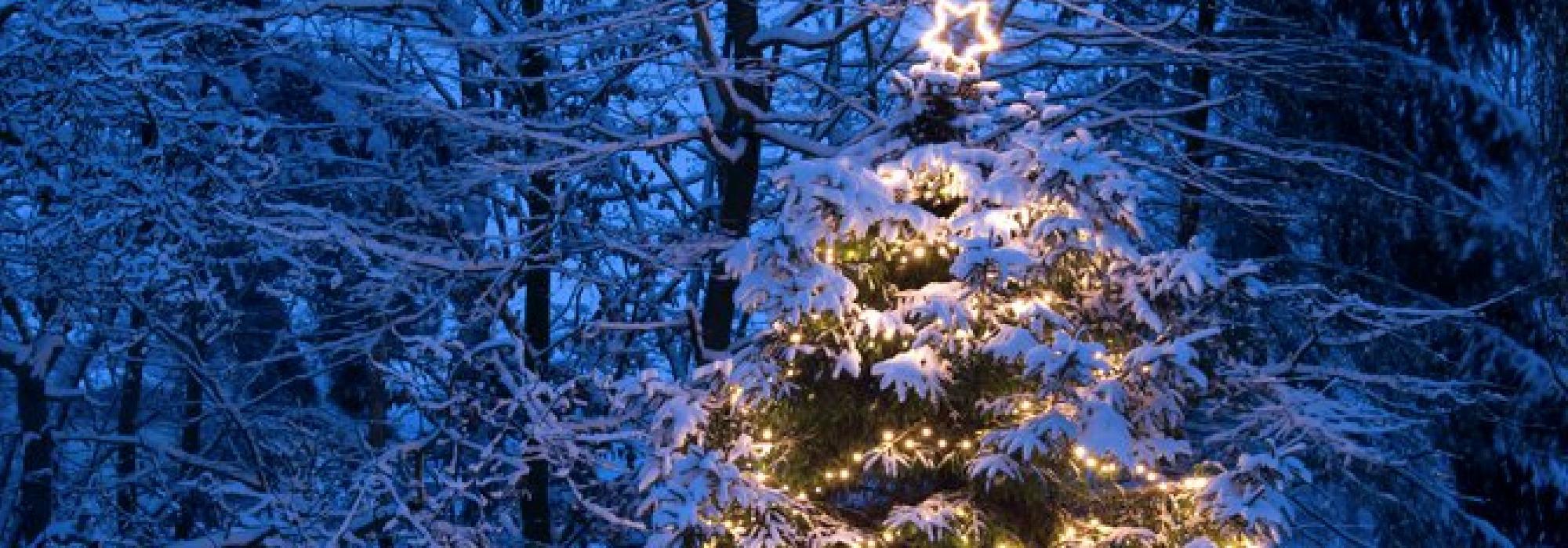 Julebordtur i friluft