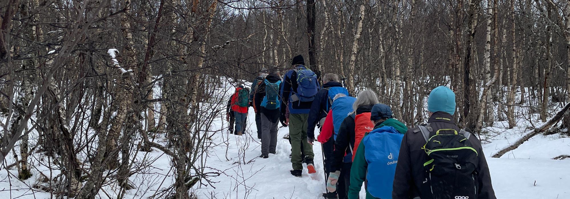 Seniortur: Fottur langs Futelva Bertnes – Breiva/Soløyvatnet