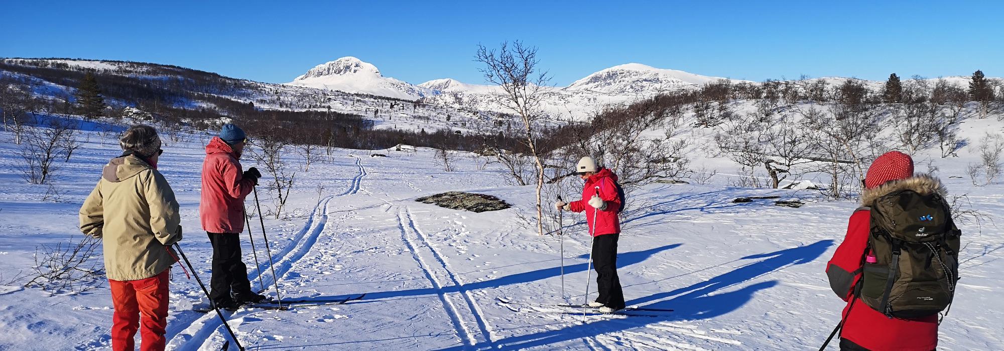 Seniortur: Overnattingstur Lønsstua, Saltfjellet