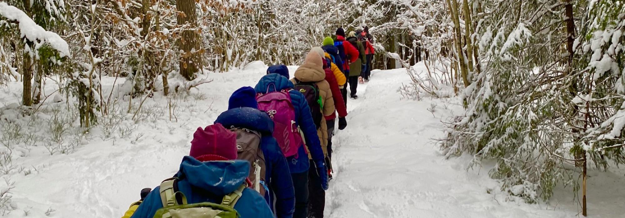 Nærtur fra Sognsvann