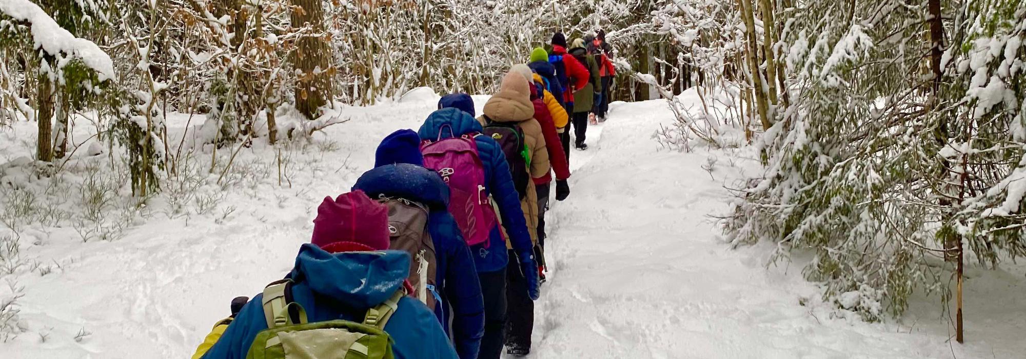 Nærtur fra Sognsvann