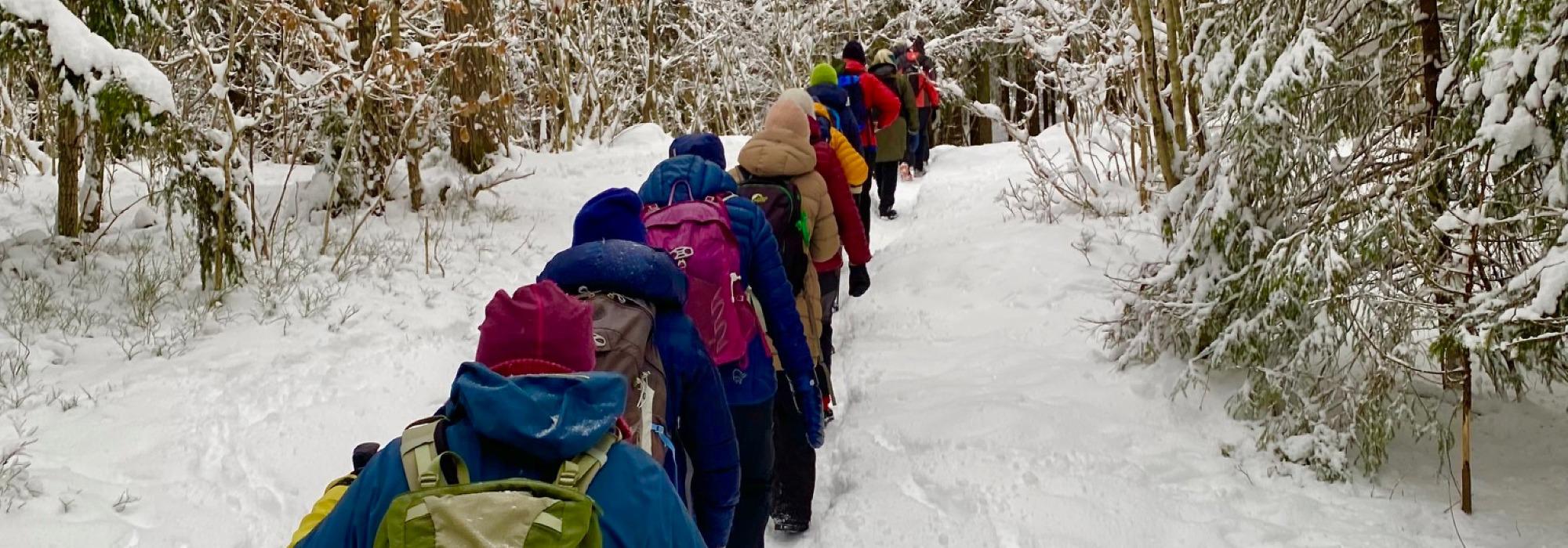 Nærtur fra Sognsvann