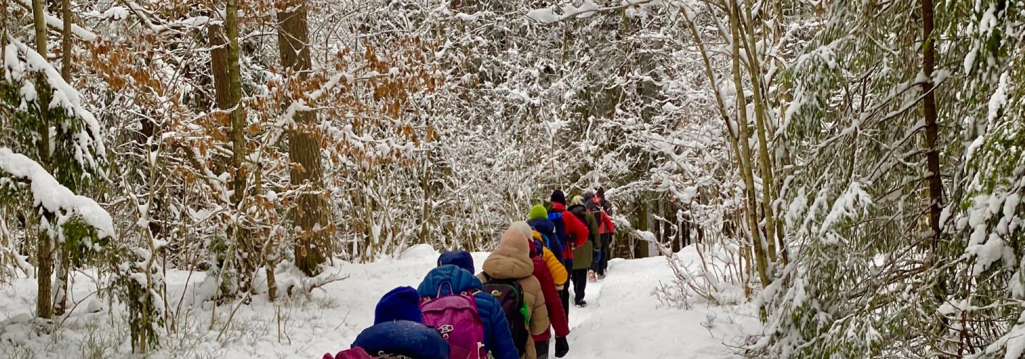 Nærtur fra Sognsvann