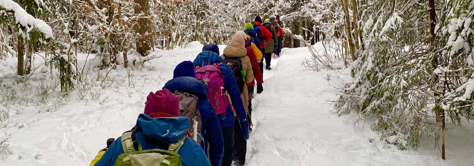 Nærtur fra Sognsvann