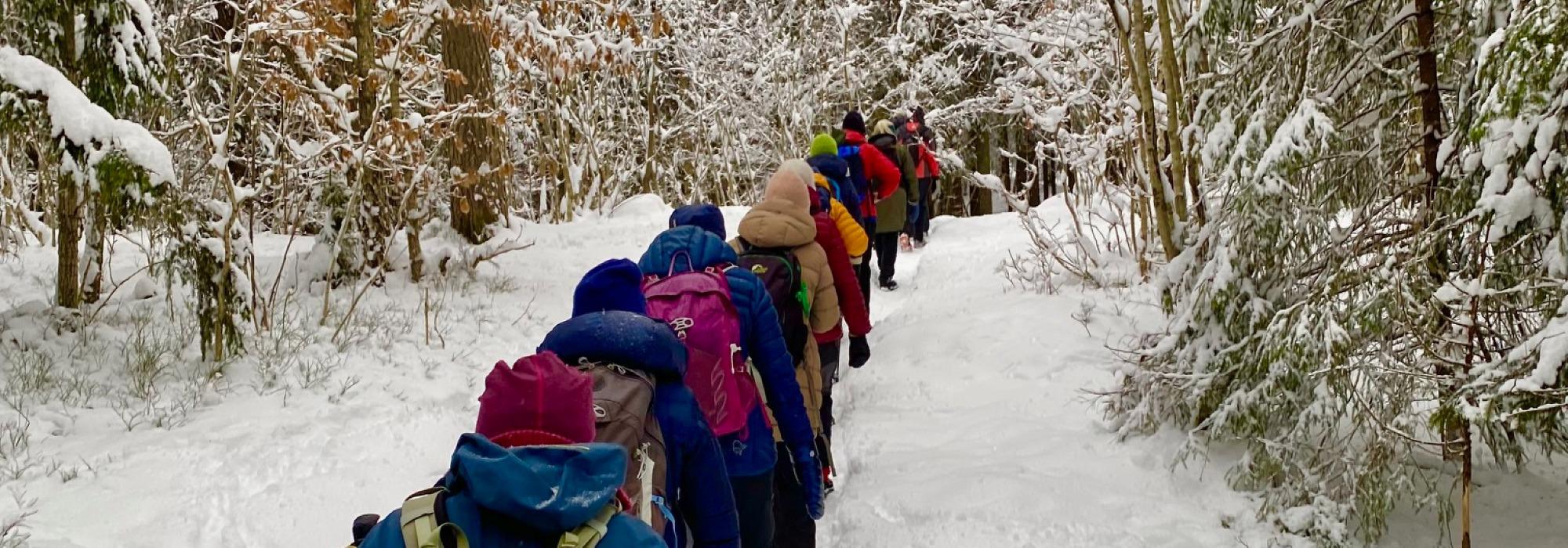 Nærtur fra Sognsvann