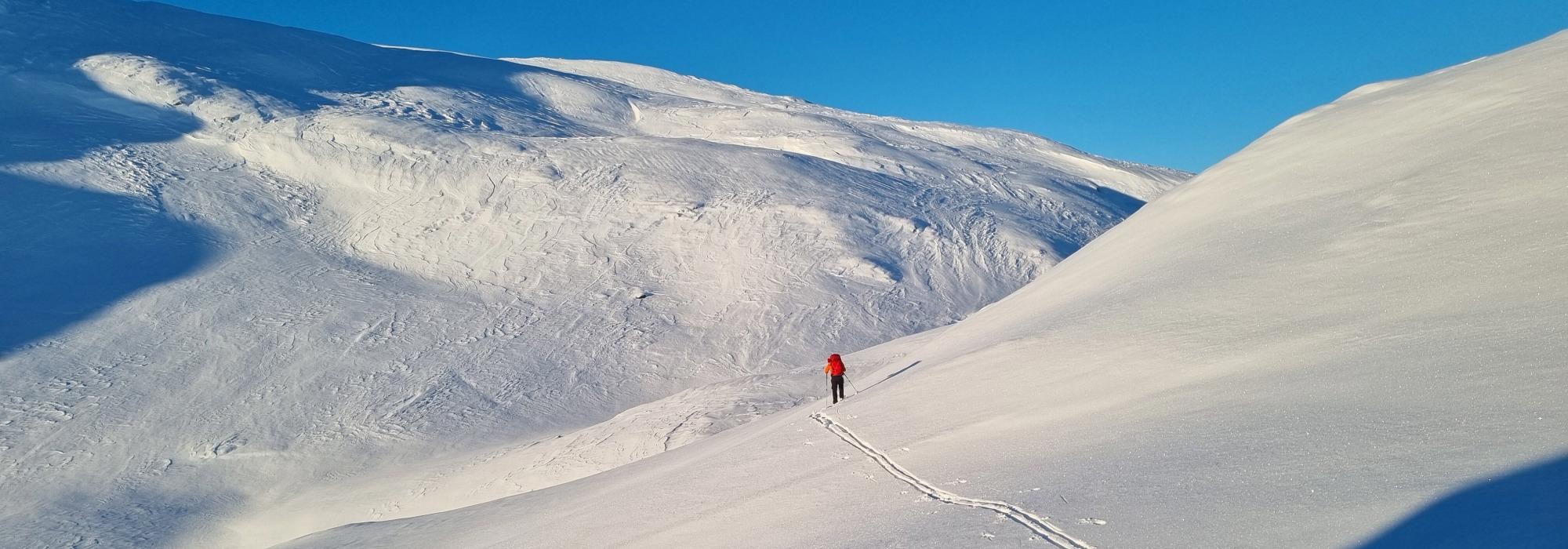 Vinterturledersamling for vinterturledere i BHT og tilhørende lokallag