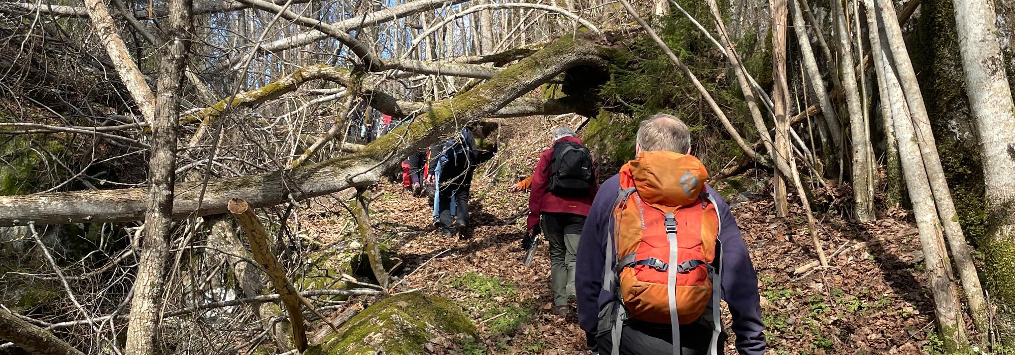 Skien Turlag Aktiv:  Vårtur gjennom Bergsbygda