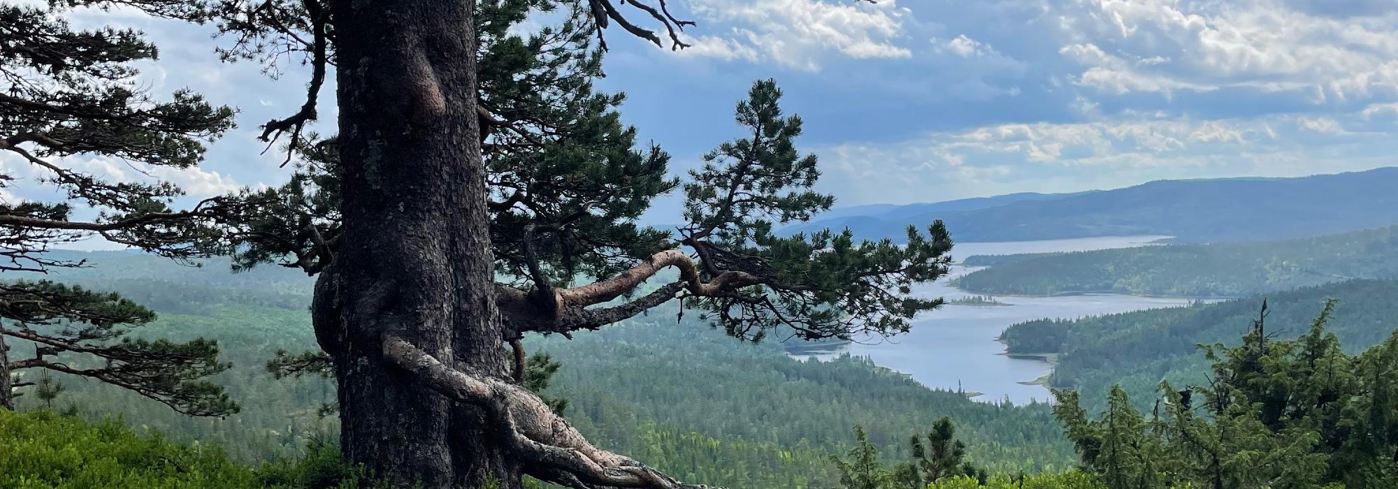 Skien turlag Aktiv - Villmarkstur til Prekestolen i Skrim - på og utenfor allfarvei.