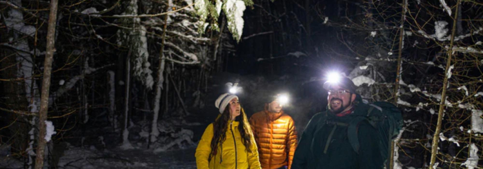 Trugetur med hodelykt på Sandhornøy