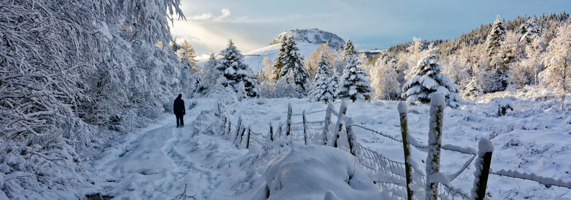 DNT tilrettelagt - Ung på tur: Melsheia på kryss og tvers