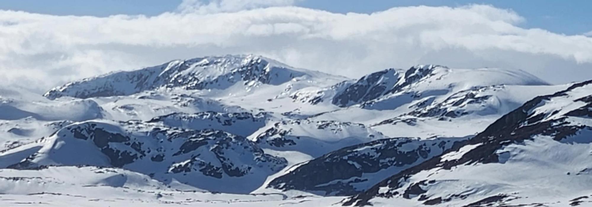 Dagstur med guide til Vargabreen 1766 moh