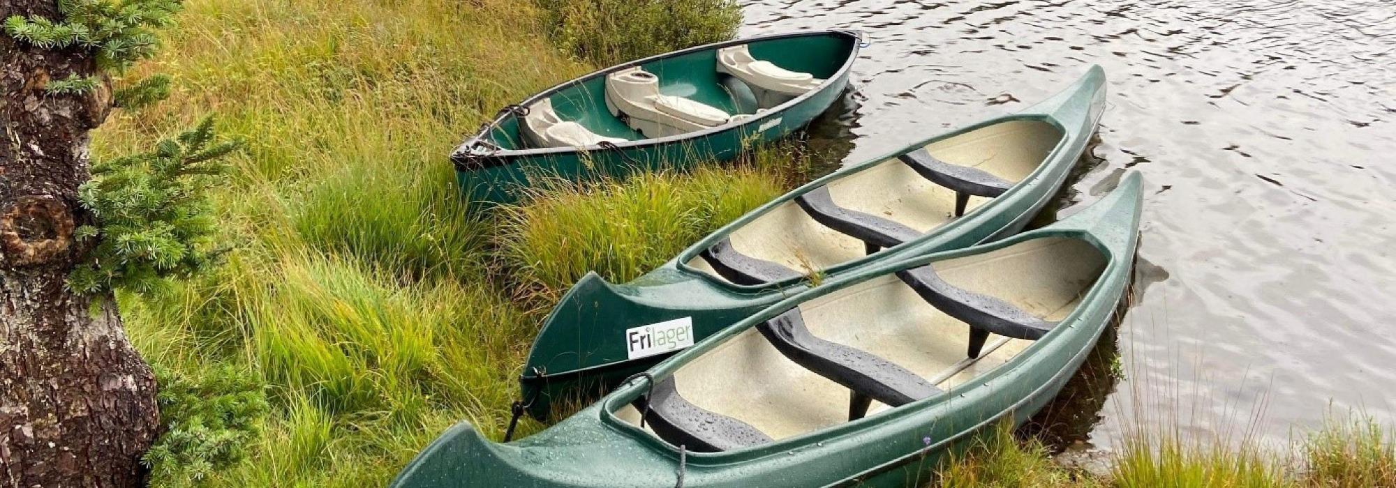Friluftslivets dag // Kom deg ut-dagen med Barnas Turlag