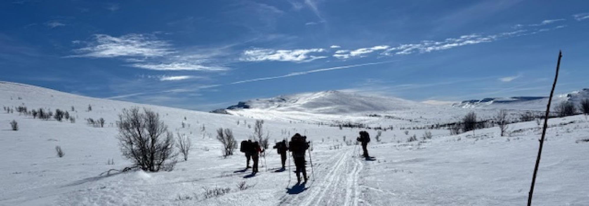 Rundtur på ski i Langsua nasjonalpark