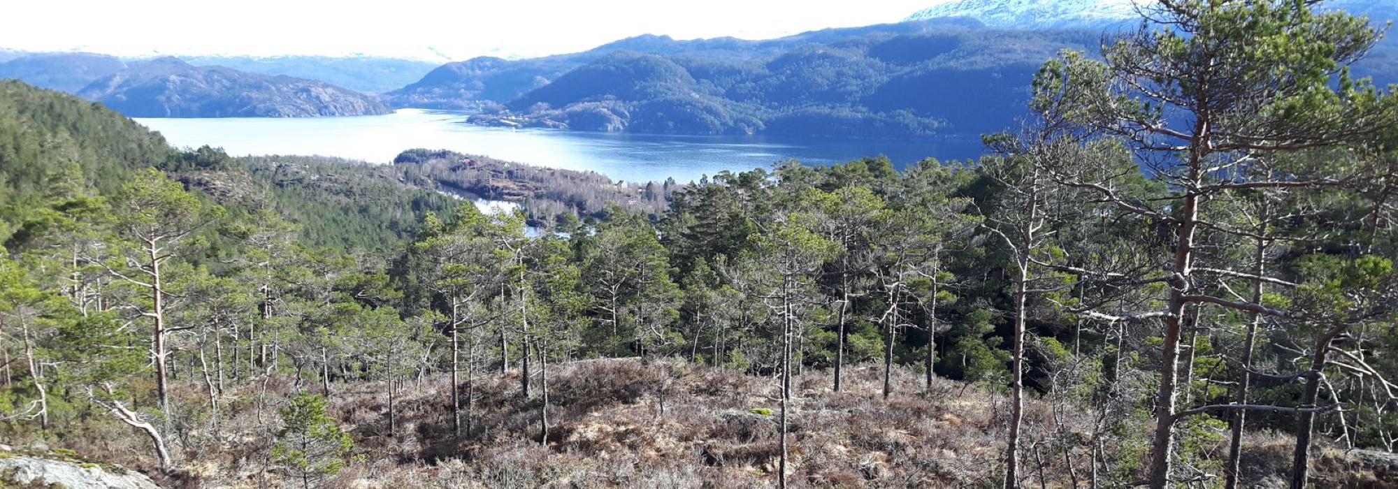 Tysdagstur dagtid: Raudvatn i Samnanger