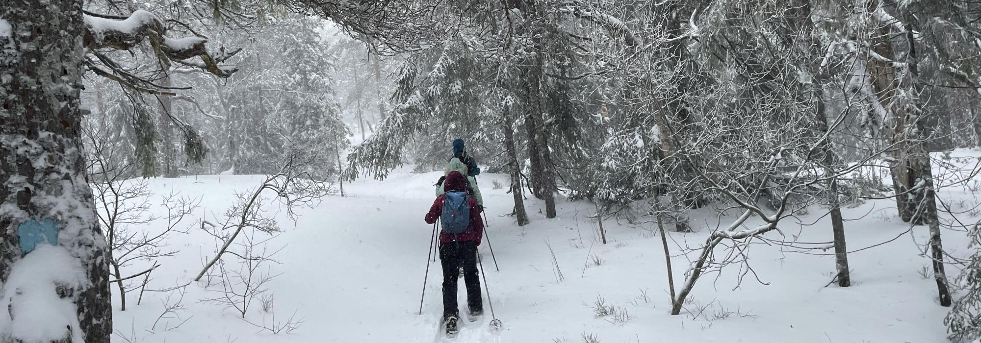 Skien turlag Aktiv - Trugetur til Rådmannen i Luksefjell