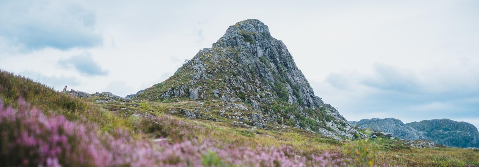 Holtaheia og Topphøna via minnesmerket