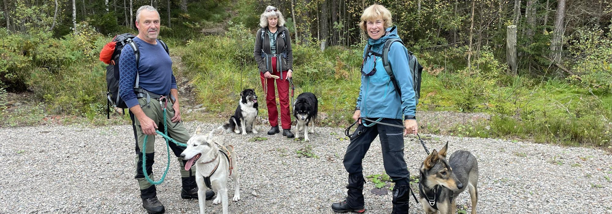 Tur med hund til Seiersteinkollen