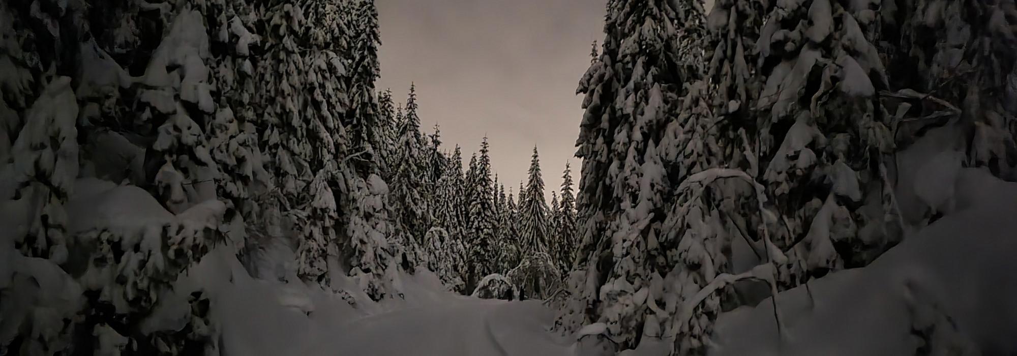 Kveldsskitur fra Elveli i Sørkedalen til Kikut