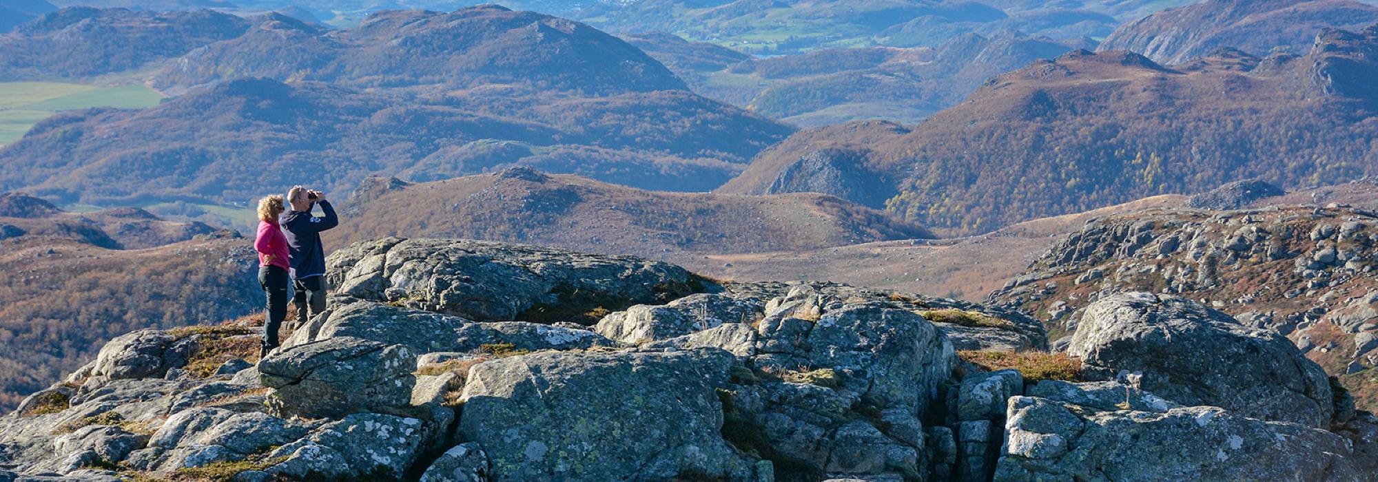 Vådlandsnuten i Madland