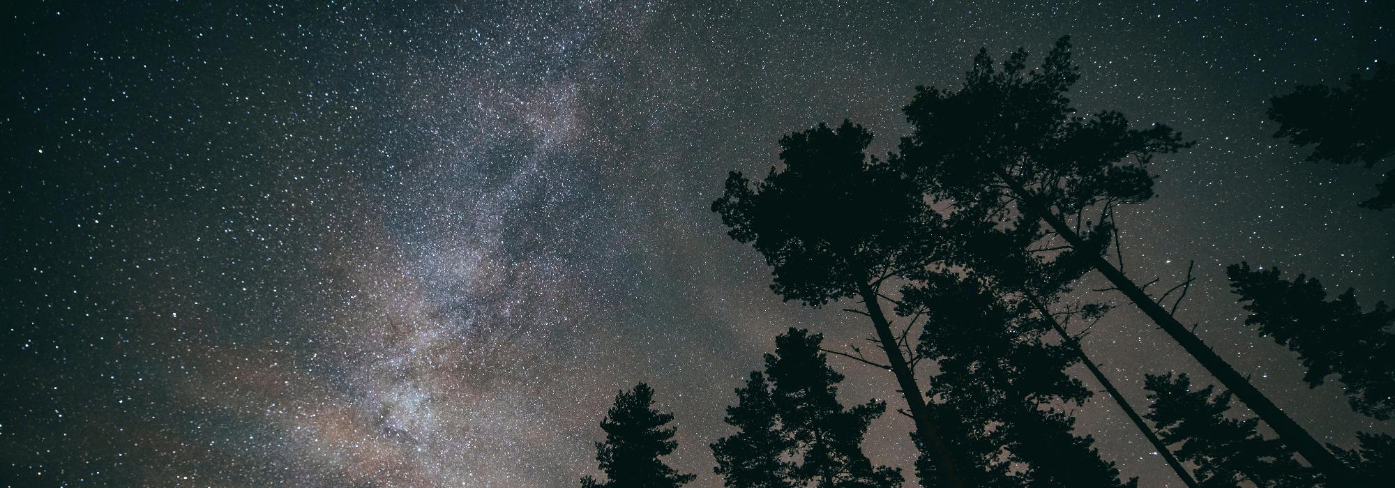 Stjernekikking i Østmarka (fra 6 år)