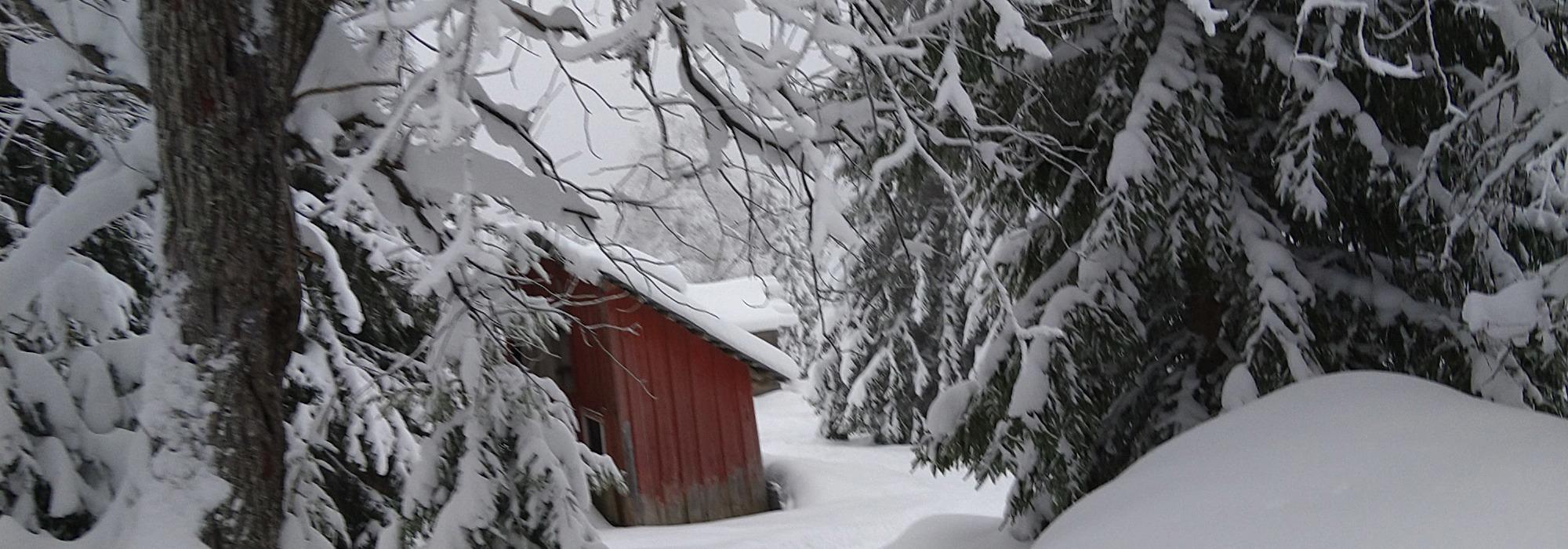 Onsdagstur til Osbakken kafe