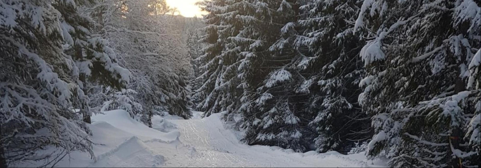 Kveldstur på ski til Kobberhaughytta med pizzaservering  (Vandregruppa DNT Oslo 26–45 år)