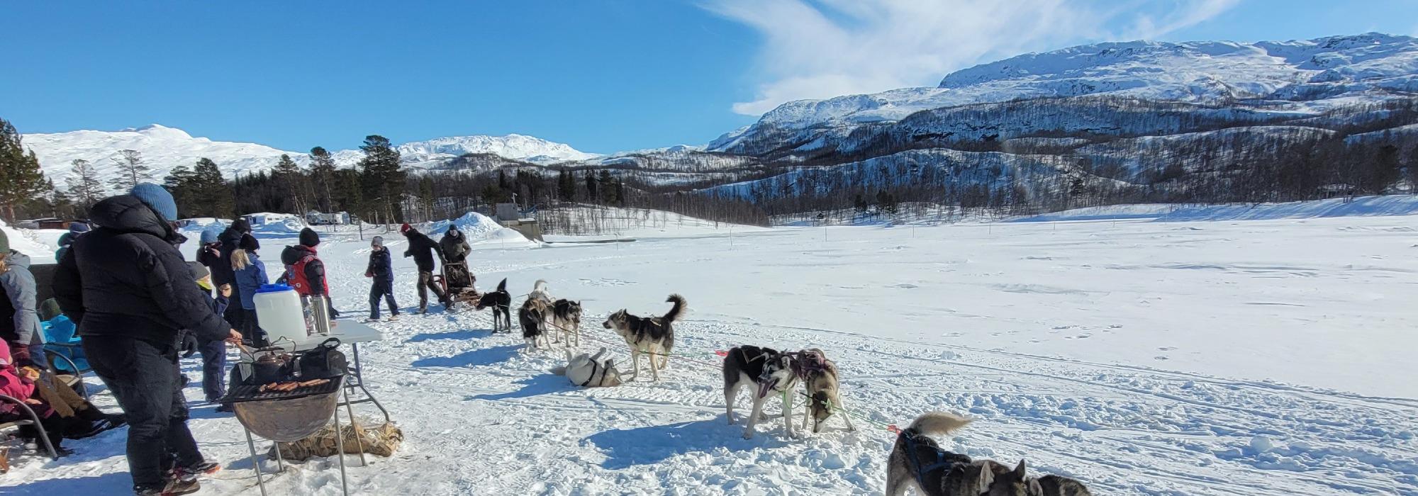 Barnas Turlag: Hundesledetur for 8 til 12 år