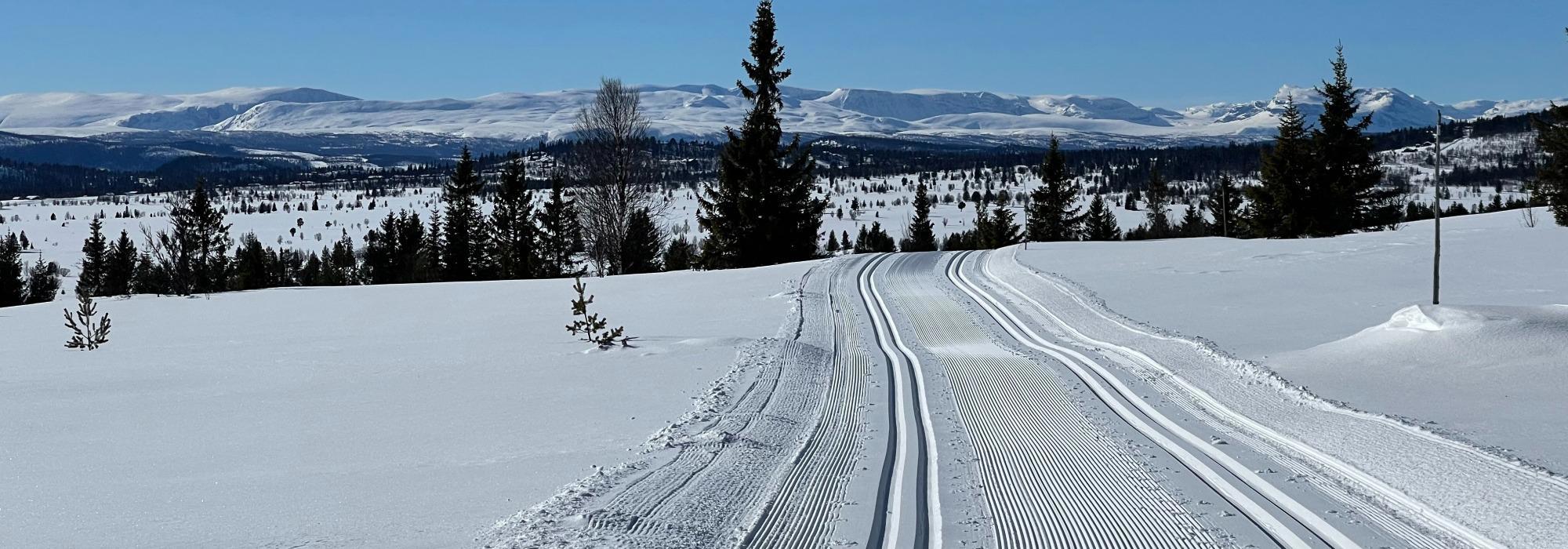 Yoga og ski på Gomobu Fjellstue