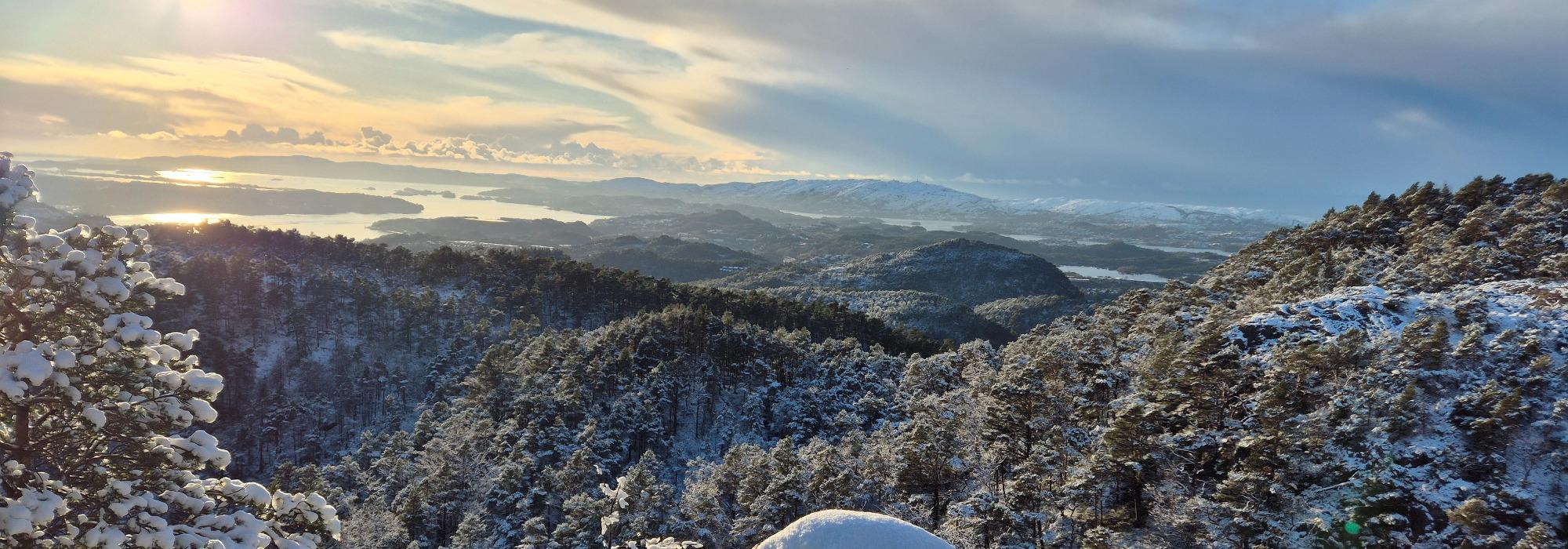 Til Lyngbønipa og Fyllingsnipa med Onsdagsgruppa