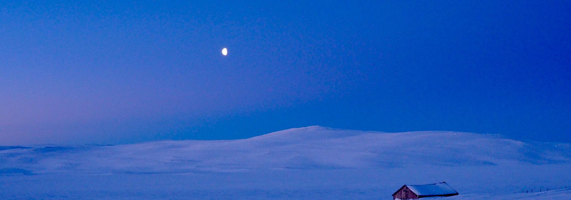 Fullmånetur til Toveseter med langkokt middag