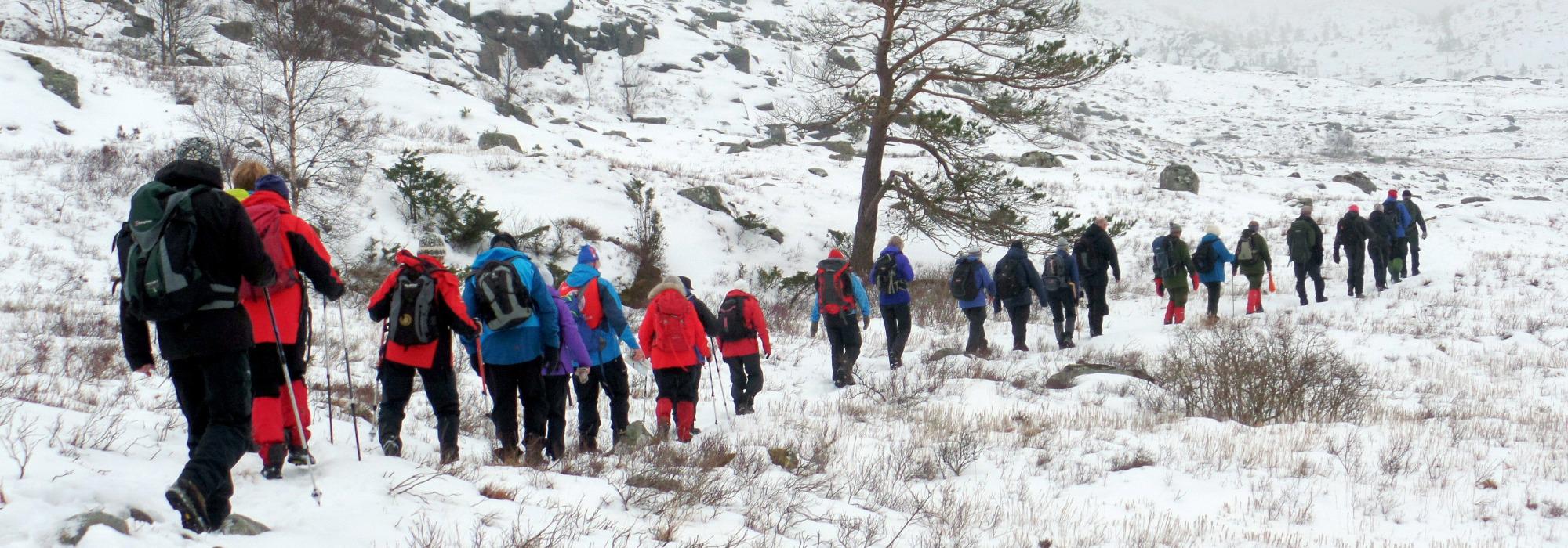 Ut i det blå med 60+