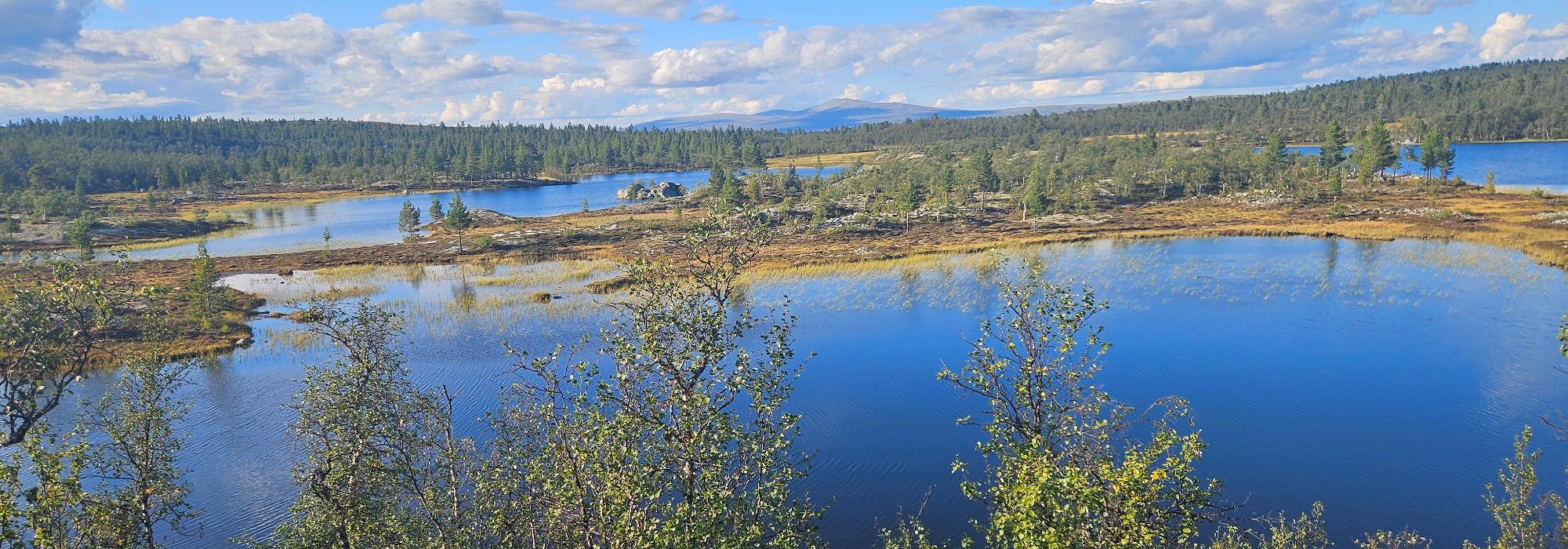 Fra Bergstad til Villmark - Røros til Røvollen gjennom Femundsmarka
