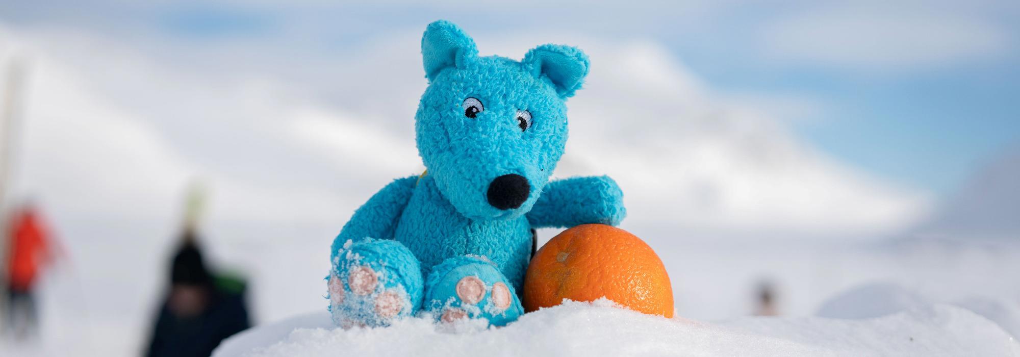 Bamselunsjtur i Stordalen med Barnas Turlag Trondheim