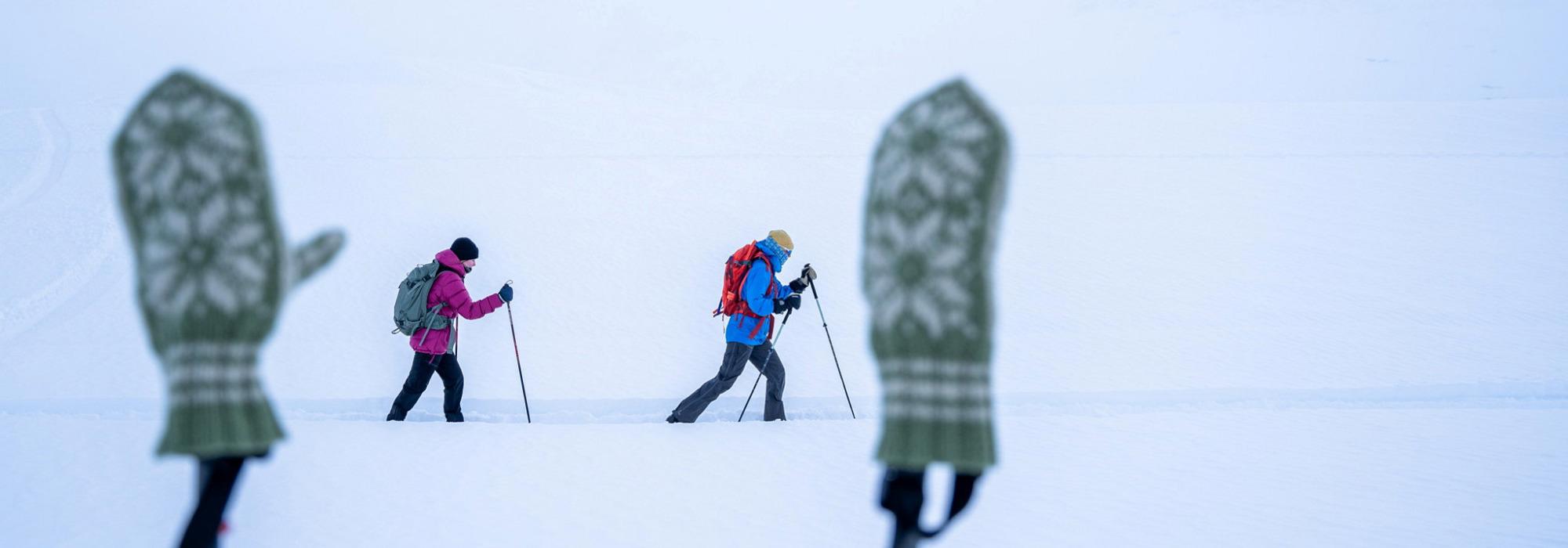 Med fjellski til Taumevatn