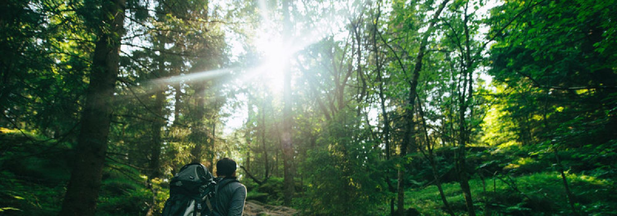 Morgen jogg  med DNT ung Skarven