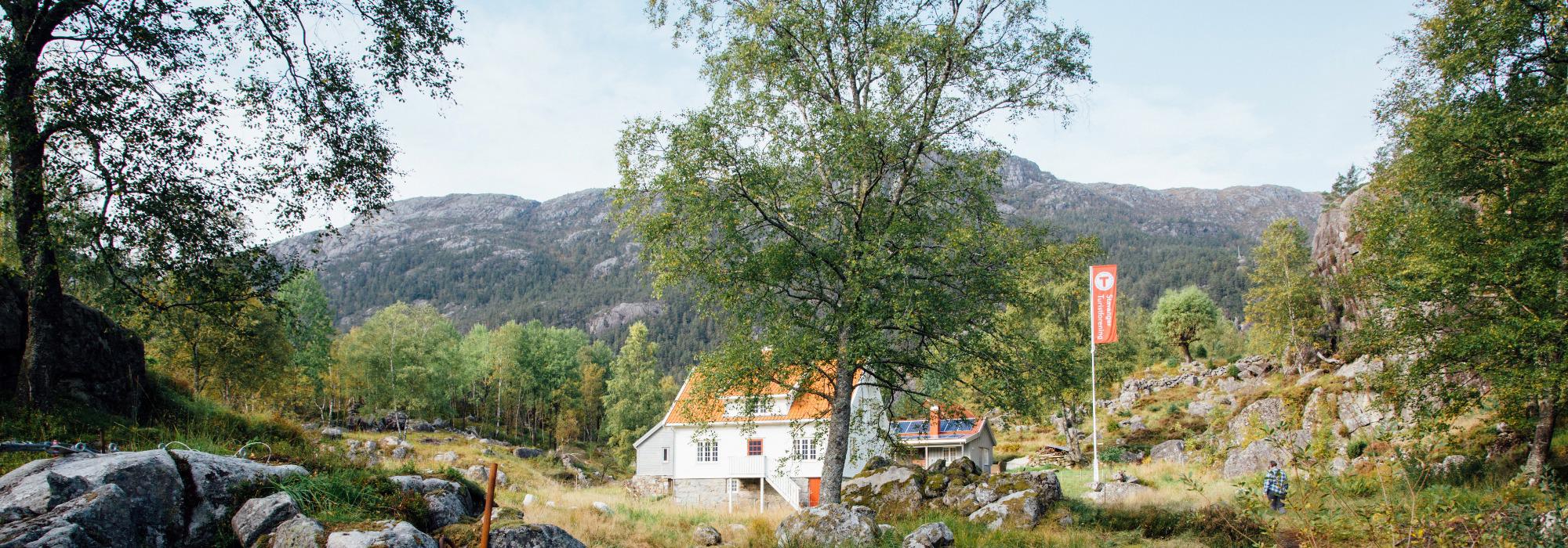 Bakken, Hoppet og Hengjandenibba