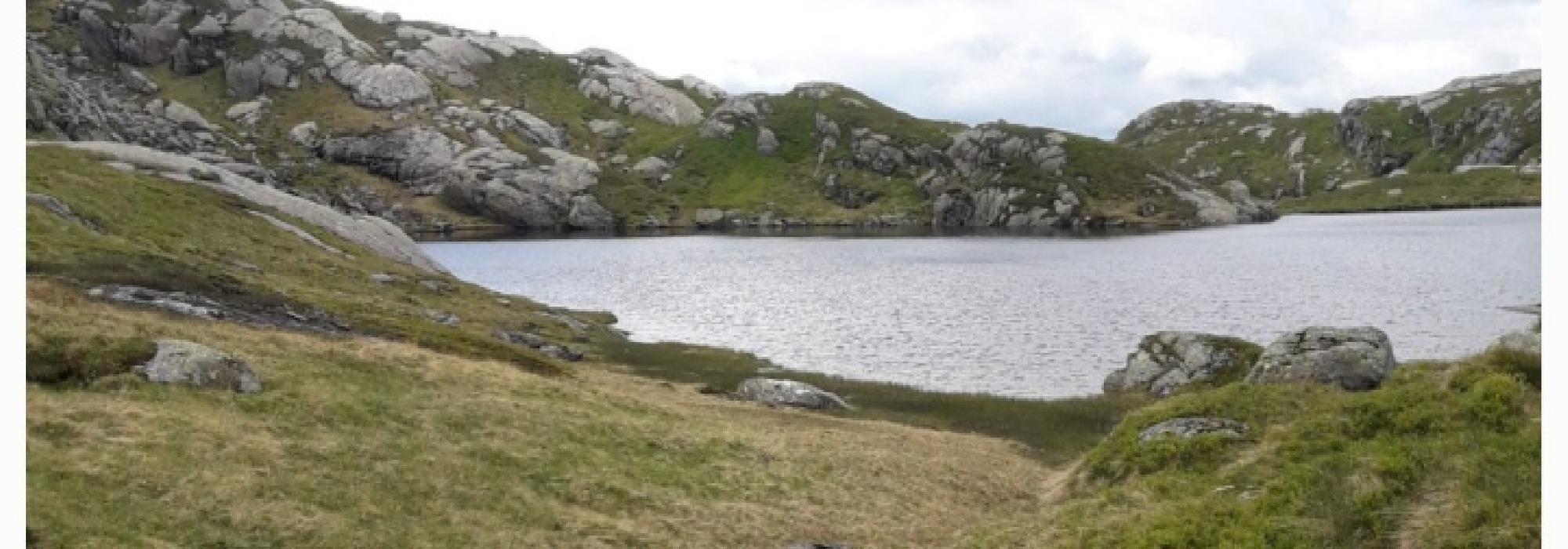 Maldalstølen - Skaret - Lauvåsheia - Maldal