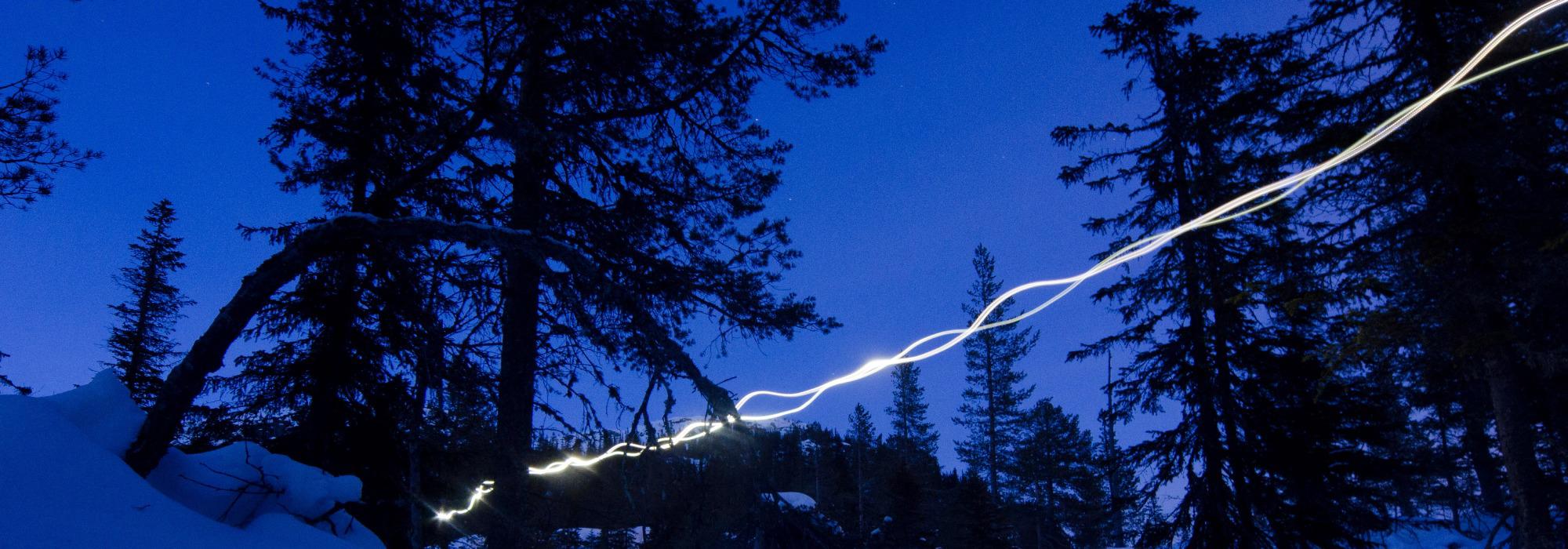 Lyd og julelysløype på Santa Lucia dagen med Barnas Turlag Rauma