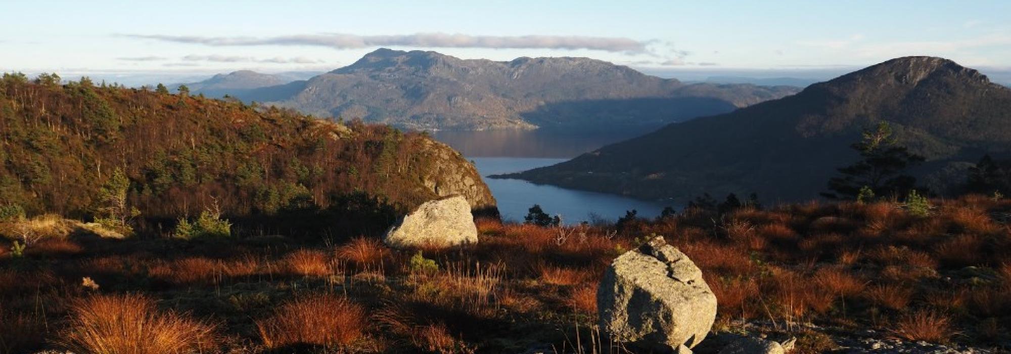 Utsiktstur til Tordisnuten og Gaupefjell!