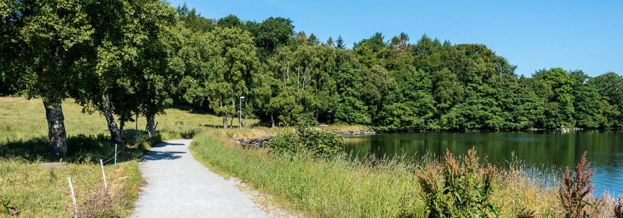 DNT tilrettelagt - Barnas Turlag: Gapahuk ved Hålandsvannet