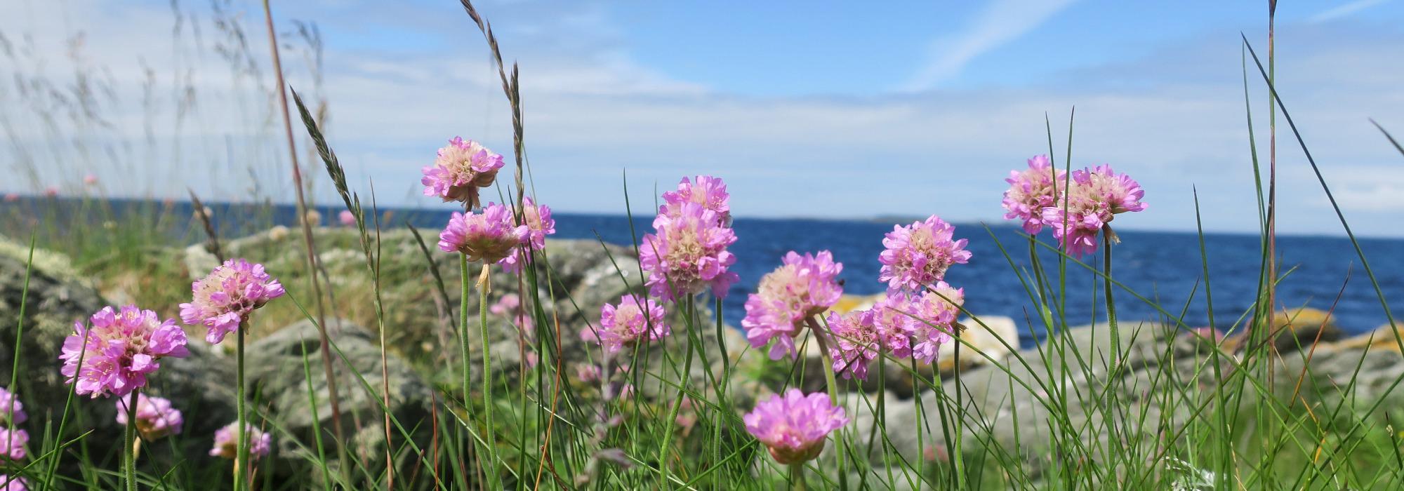 DNT tilrettelagt - Barnas Turlag: Strandtur Sande/Ølberg Kickoff!