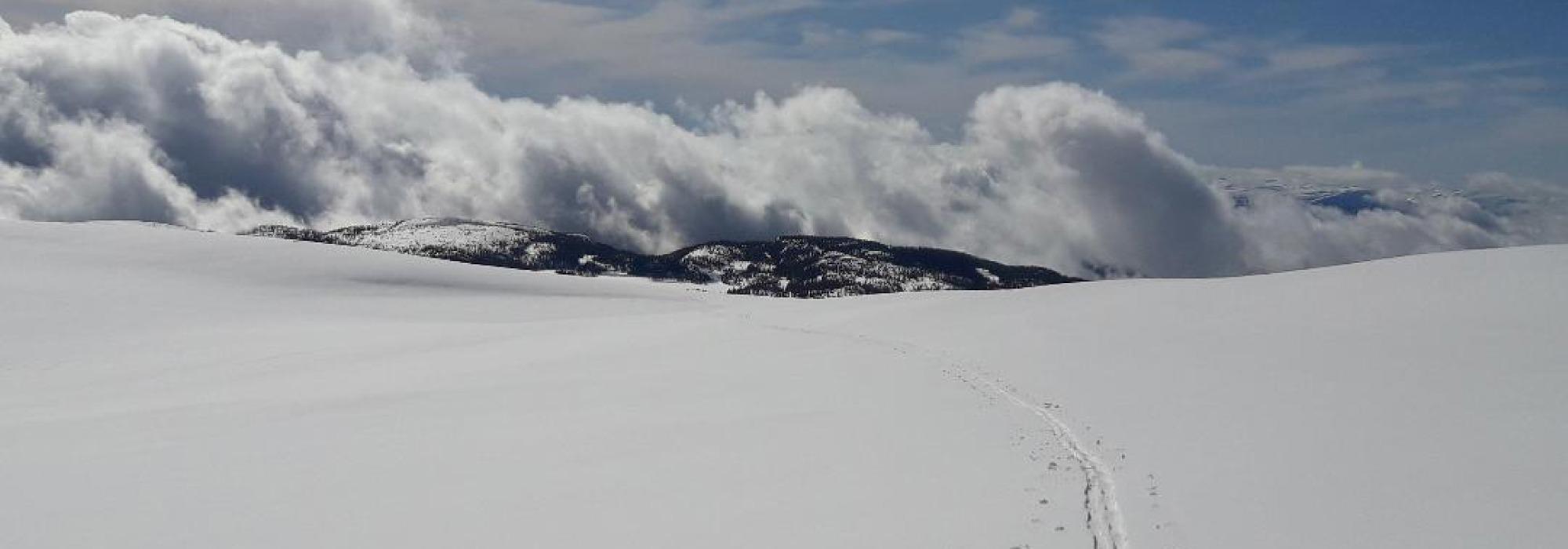Topptur til Blefjell for nybegynnere