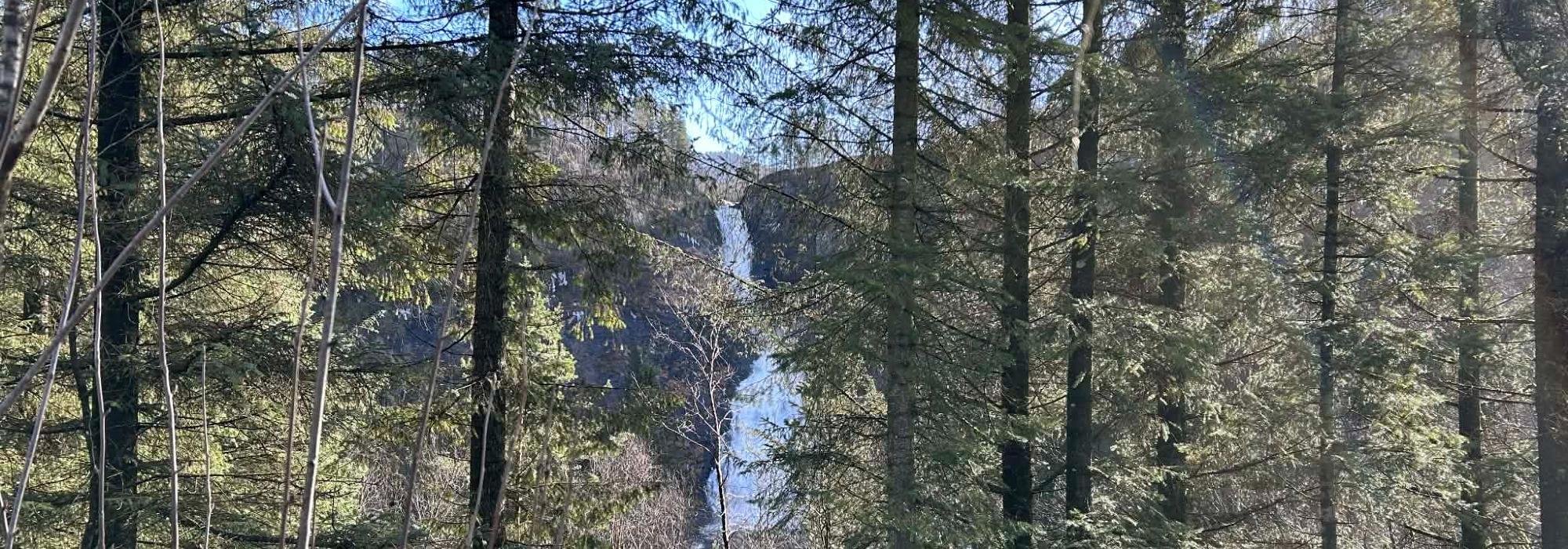 Tysdagstur på Nordheia