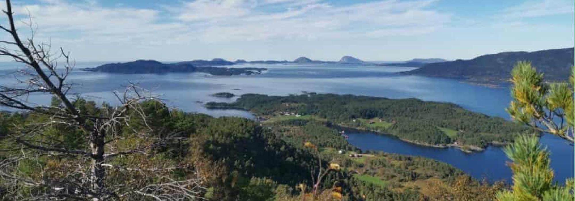 Tysdagstur til Dyrhovden